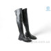 Сапоги Allshoes