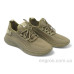 Кроссовки Allshoes
