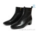 Ботинки Allshoes