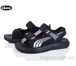 Сандалии Wei Wei-Class