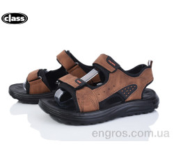 Сандалии Wei Wei-Class