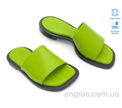 Шлепки Allshoes