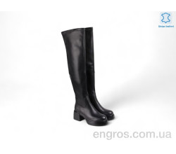 Сапоги Allshoes