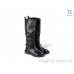 Сапоги Allshoes