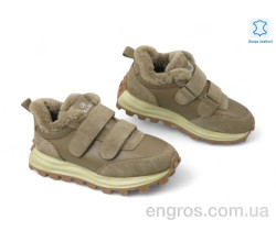 Кроссовки Allshoes