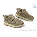 Кроссовки Allshoes