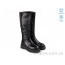Сапоги Allshoes