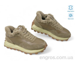 Кроссовки Allshoes