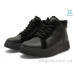 Ботинки Allshoes