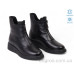 Ботинки Allshoes