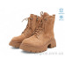 Ботинки Allshoes