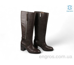 Сапоги Allshoes