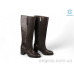 Сапоги Allshoes