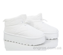 Дутики Захар-Gold