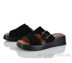 Пляски Loretta