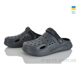 Кроксы Golden Lion