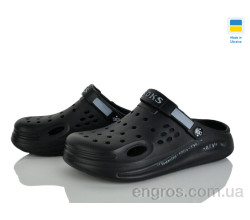 Кроксы Golden Lion