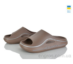 Шлепки Golden Lion