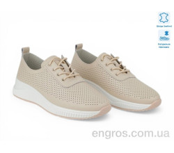 Кроссовки Allshoes