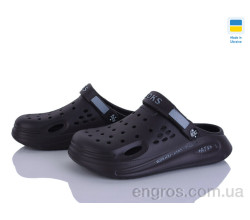 Кроксы Golden Lion