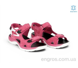 Босоножки Allshoes