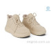 Ботинки Allshoes
