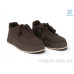 Кроссовки Allshoes