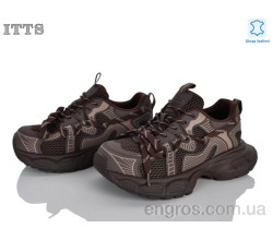 Кроссовки ITTS