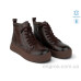Ботинки Allshoes