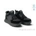 Кроссовки Allshoes