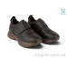 Кроссовки Allshoes