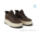 Ботинки Allshoes