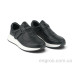 Кроссовки Allshoes