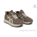 Кроссовки Allshoes