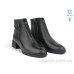 Ботинки Allshoes