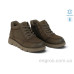 Ботинки Allshoes