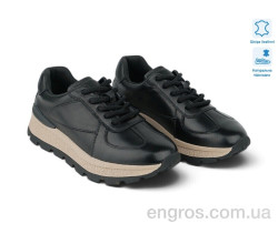 Кроссовки Allshoes
