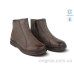 Ботинки Allshoes