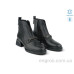 Ботинки Allshoes