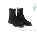 Ботинки Allshoes