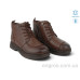Ботинки Allshoes