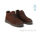 Ботинки Allshoes