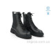 Ботинки Allshoes