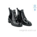 Ботинки Allshoes