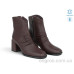 Ботинки Allshoes