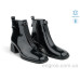 Ботинки Allshoes