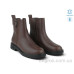 Ботинки Allshoes