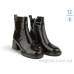 Ботинки Allshoes
