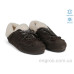 Кроссовки Allshoes