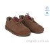 Кроссовки Allshoes